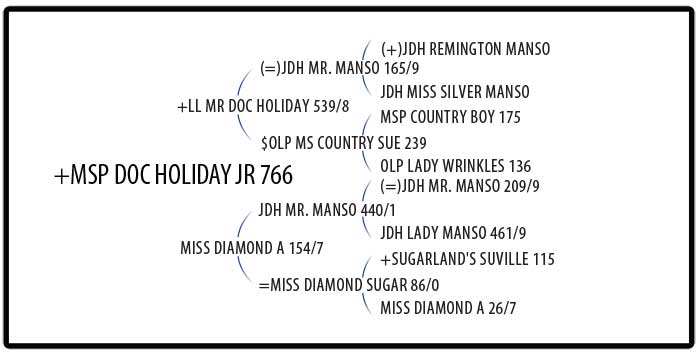 +LL MR DOC HOLIDAY 539/8 Pedigree