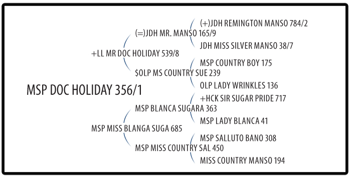 MSP Doc Holiday 356/1 Pedigree