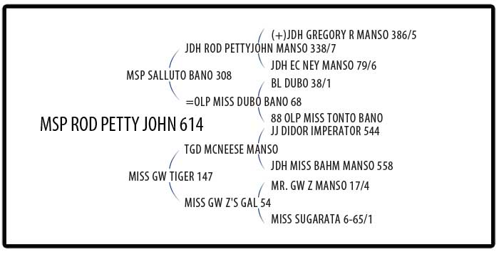 +LL MR DOC HOLIDAY 539/8 Pedigree