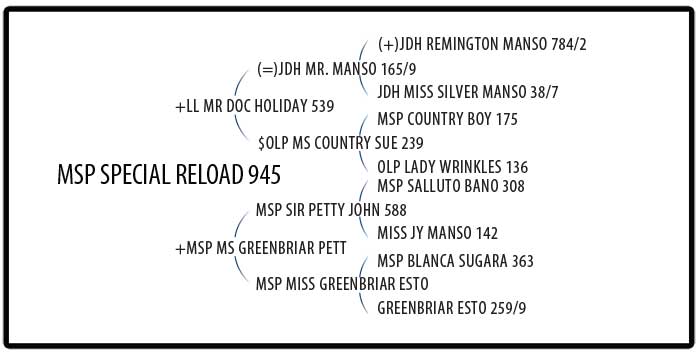 MSP Special Reload 945