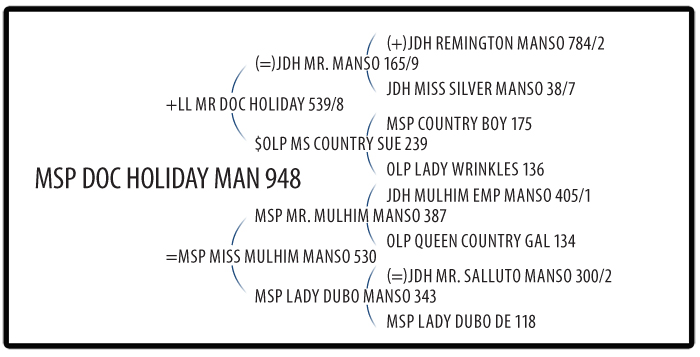 MSP Doc Holiday Man 948